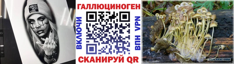 Псилоцибиновые грибы прущие грибы  Севастополь 